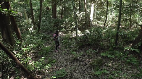 DDK-234 Forest Of Desire Finding Maigo's Naked Girl In The Forest And Not Being Able To Control Her Sexual...