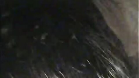 Amateur Asian Porn 145281037