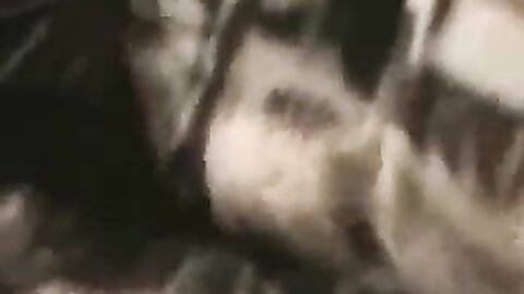 Amateur Asian Porn 145281038