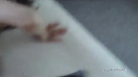 Amateur Asian Porn 145281061