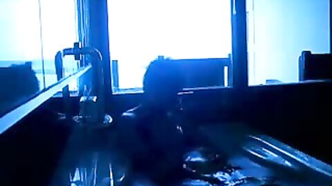 Amateur Asian Porn 145281092