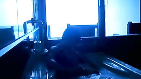 Amateur Asian Porn 145281092