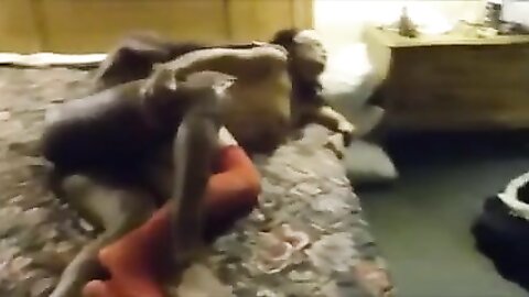 Amateur Asian Porn 145281127