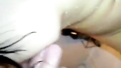Amateur Asian Porn 145281206