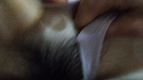Amateur Asian Porn 145281216