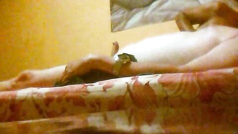 Amateur Asian Porn 145281286