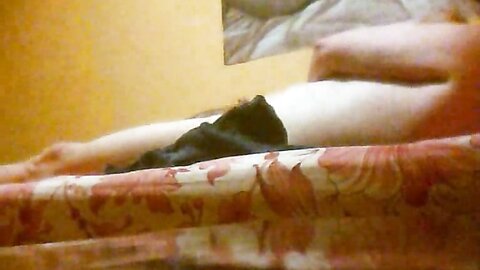 Amateur Asian Porn 145281286