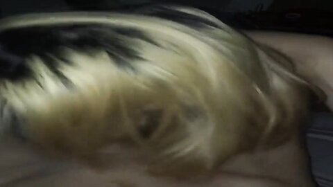 Amateur Asian Porn 145281294