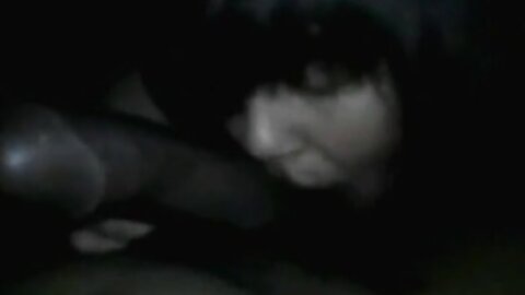 Amateur Asian Porn 14528145