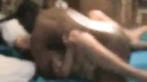 Amateur Asian Porn 14528236