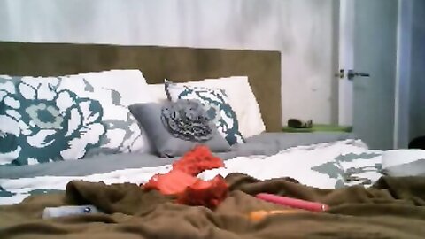 Amateur Asian Porn 3944796