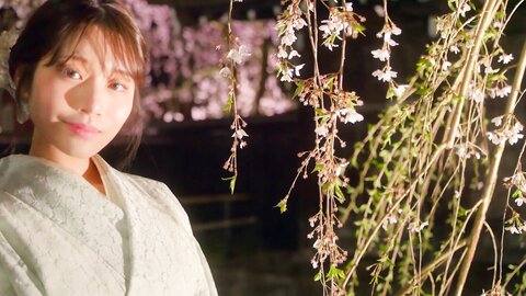 9OAE-262 Kya No Hana Ayaka Kahoku (Blu-ray Disc)