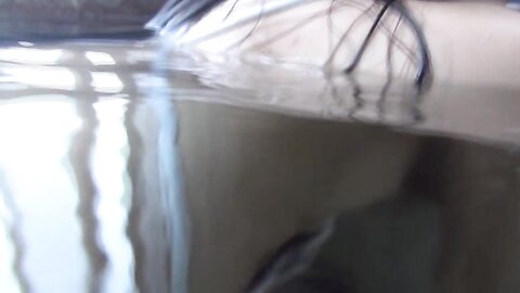 DSTAR-9082 藤木美咲 – Secret Lover