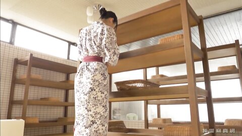 SHMO-291 Washi Bijo Zukan 2