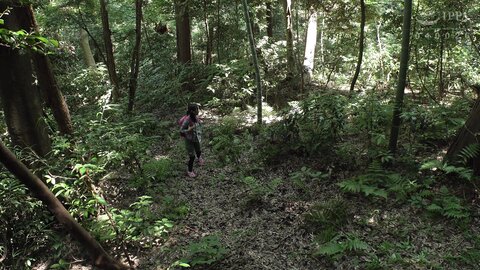 DDK-234 [4K] Forest Of Desire Finding Maigo's Naked Girl In The Forest And Not Being Able To Control Her Sexual...