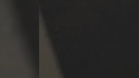 Amateur Asian Porn 14528360