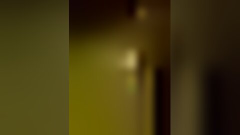 Amateur Asian Porn 14528367