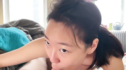 Amateur Asian Porn 14528372