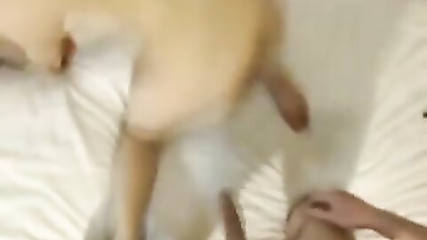 Amateur Asian Porn 145284