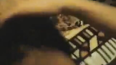 Amateur Asian Porn 14528410
