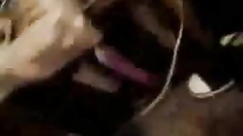 Amateur Asian Porn 14528436