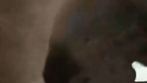 Amateur Asian Porn 14528438