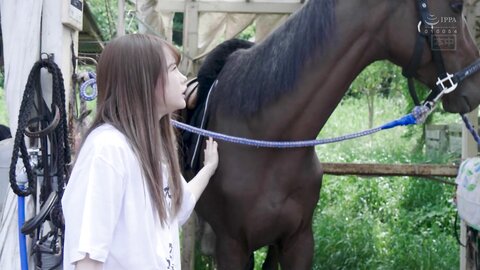 HMN-283 The horse girl is crazy!Personal sale, store assault, event holding etc. with 0 yen for production...