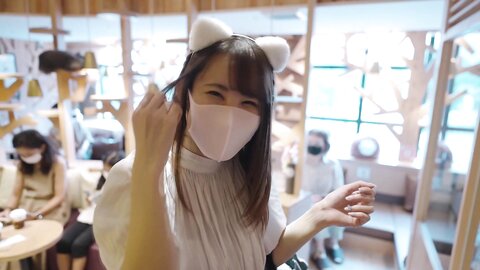 3133721 Full face Uncensored Cinema style Fluffy Fcup beautiful big tits beautiful body college girl with a lot of charm