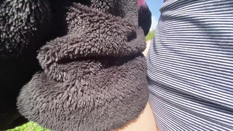 Butt Slutt202105180Gqnd5Pkqmr50Y90Asr4C Source