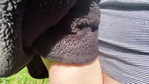 Butt Slutt202105180Gqnd5Pkqmr50Y90Asr4C Source