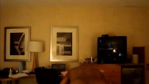 Amateur Asian Porn 14528506