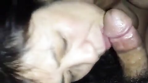 Amateur Asian Porn 14528543