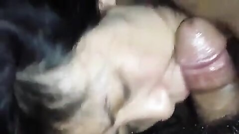 Amateur Asian Porn 14528543