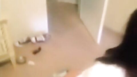 Amateur Asian Porn 14528604