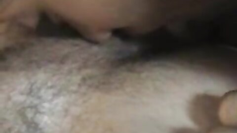 Amateur Asian Porn 14528629