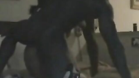 Amateur Asian Porn 145287