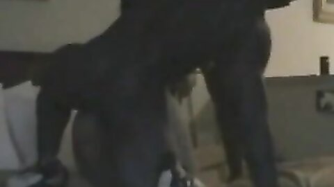 Amateur Asian Porn 145287
