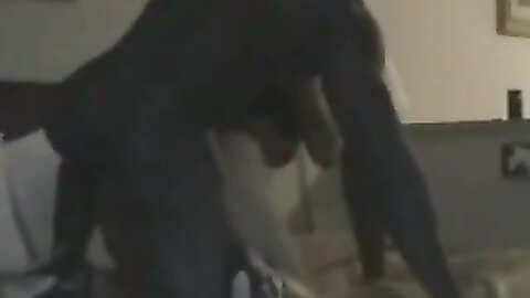 Amateur Asian Porn 145287
