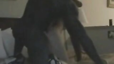 Amateur Asian Porn 145287