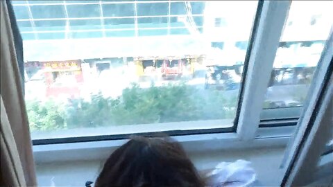 Amateur Asian Porn 14528763