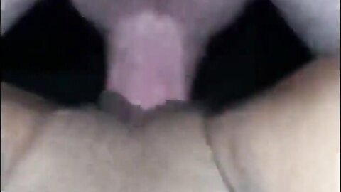 Amateur Asian Porn 14528785