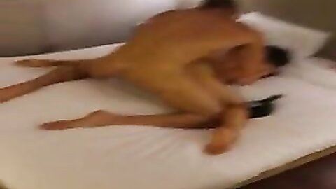 Amateur Asian Porn 14528866