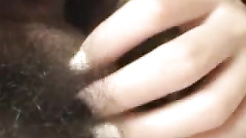 Amateur Asian Porn 14528986