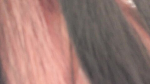 4598143 *Price will be increased for each quantity* [Pussyfighting]**pzzyxqx*z* [Nakadashi] Last support for Nakadashi to a beautiful married woman with the strongest style of beautiful breasts and peach ass