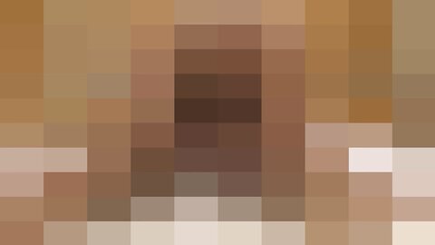 29379101