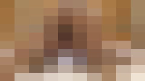 29379101