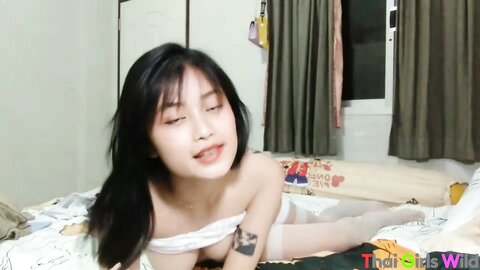 Pukky  Pukky Home Alone Self Made Play New 2024