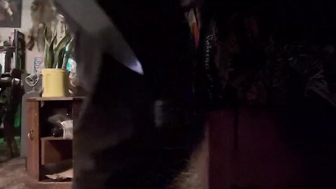 Scene Queens Gassy Double Feature Free Halloween Special 2024