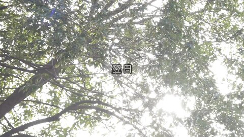 Married Woman Masse Aya Shiomi 2 Story Porn