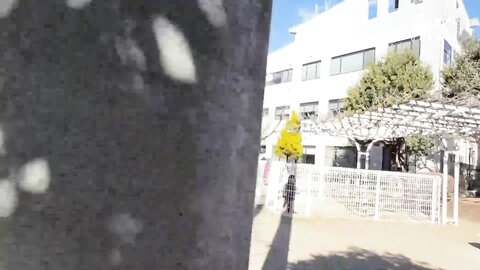 ANKK-015 [Uncensored]